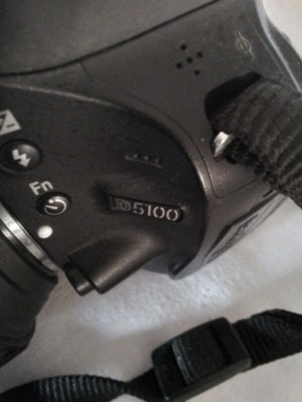 Nikon D5100 - immagine 3